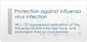 Protection against influenza virus infection：HK L-137 suppressed replication of the influenza virus in infected mice, and prolonged their survival period.